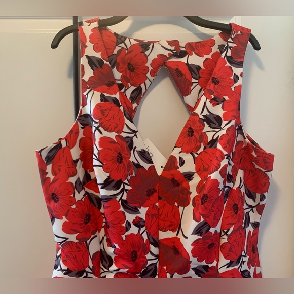 NWT Long Tall Sally Size 10 Poppy Fit & Flare Dress - Picture 4 of 8